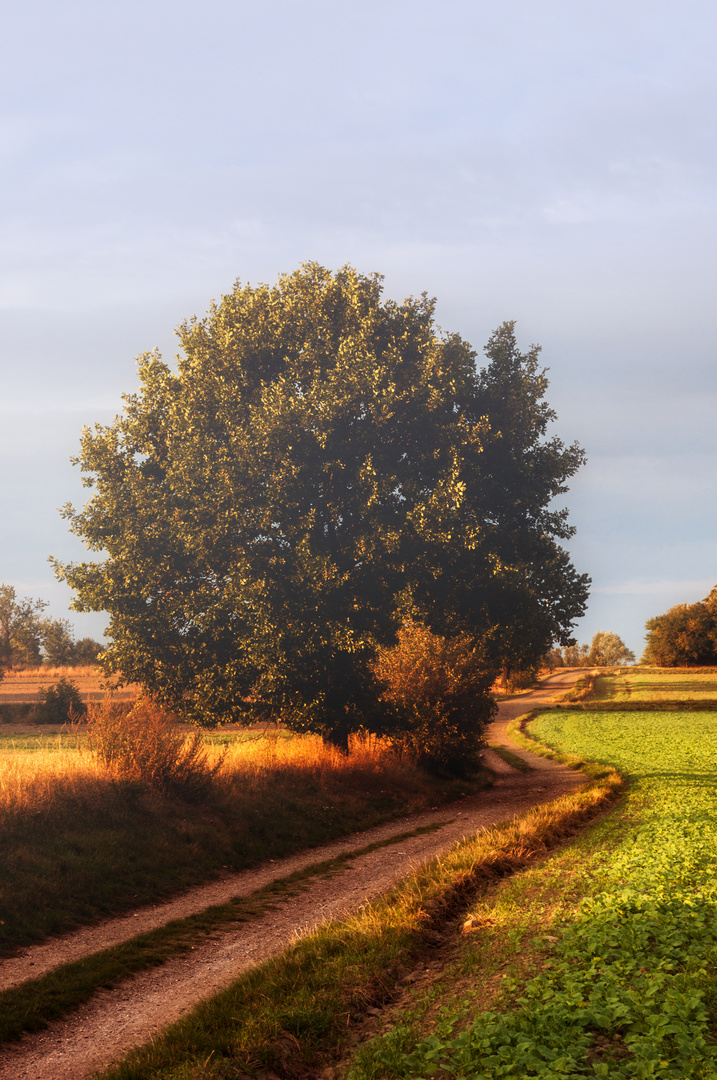 die Farben des Herbstes