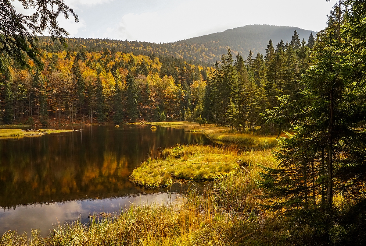 Die Farben des Herbstes