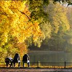 Die Farben des Herbstes