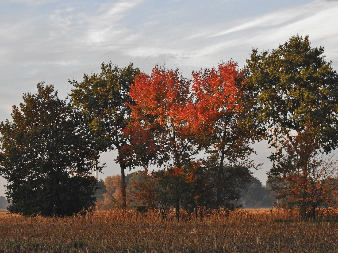 Die Farben des Herbstes.....