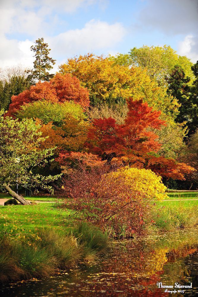 Die Farben des Herbstes