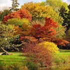 Die Farben des Herbstes