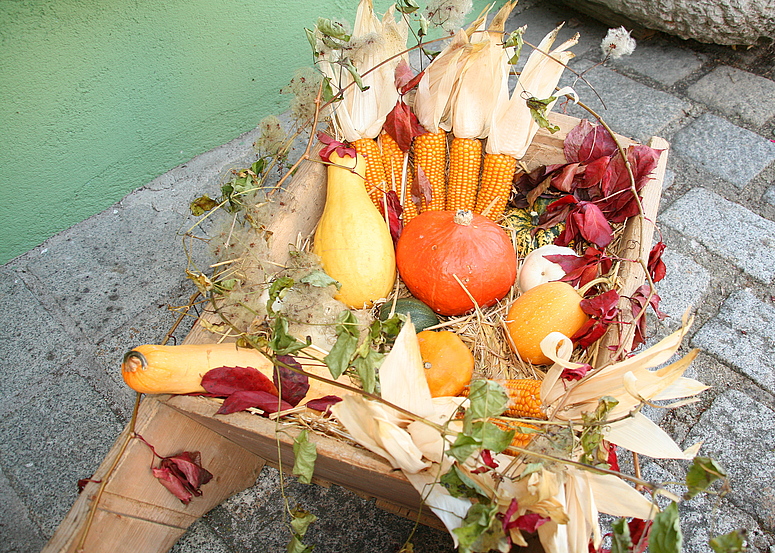 Die Farben des Herbstes