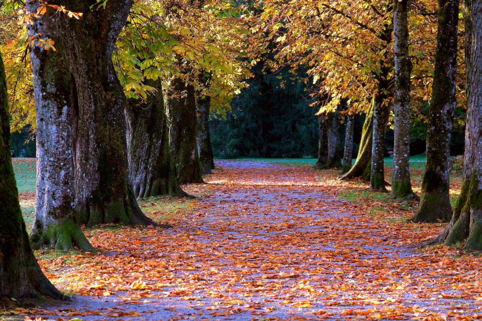 Die Farben des Herbstes