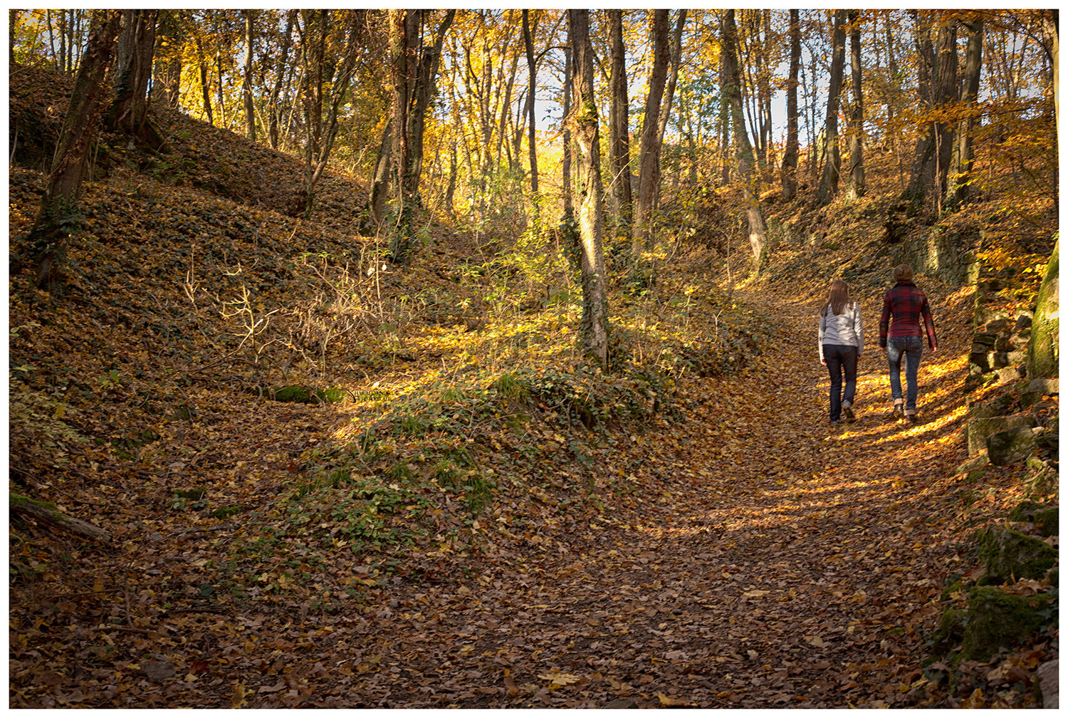 Die Farben des Herbstes