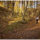 Die Farben des Herbstes