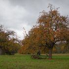 Die Farben des Herbstes