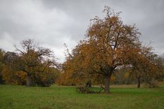 Die Farben des Herbstes