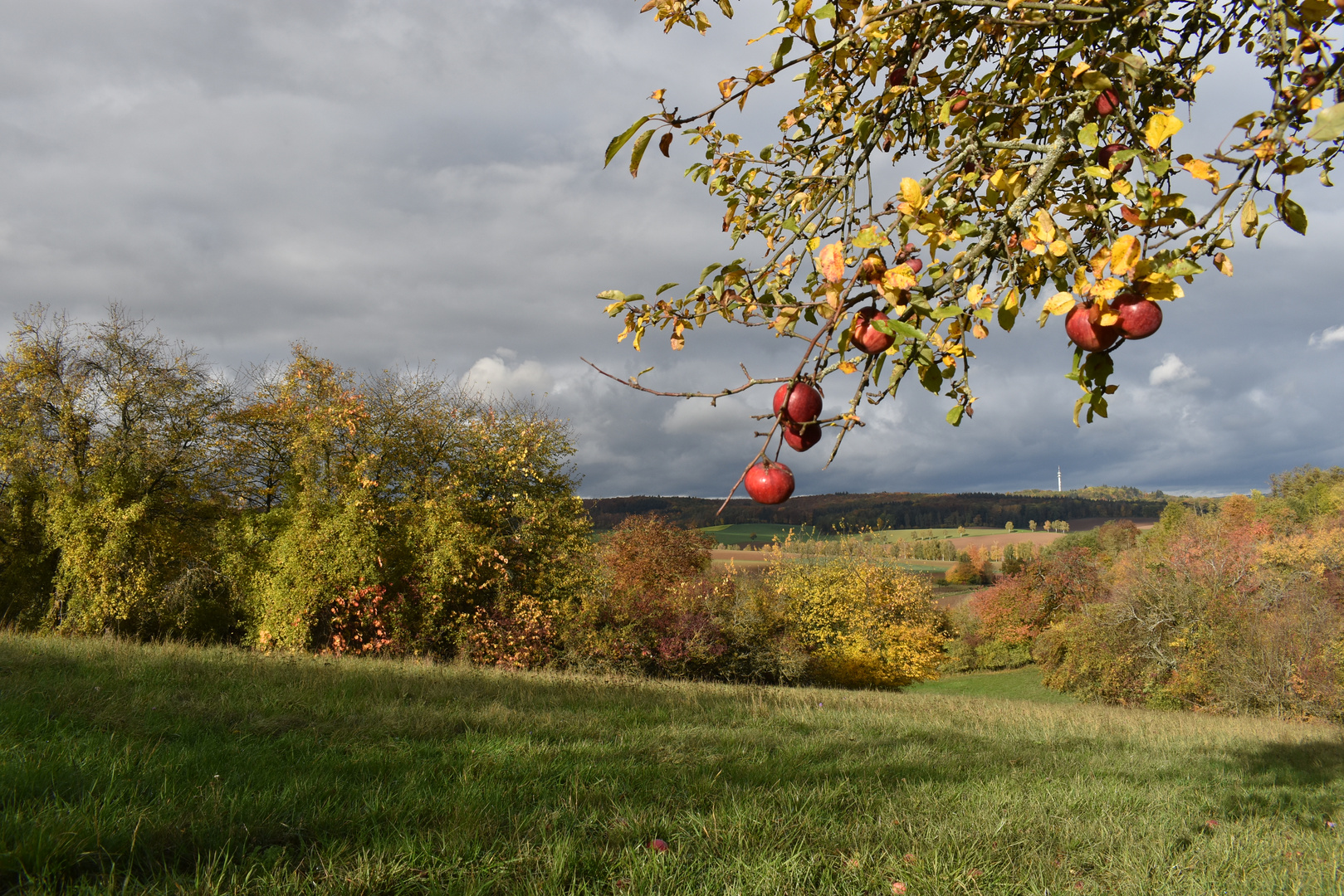 Die Farben des Herbstes