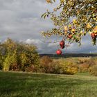 Die Farben des Herbstes