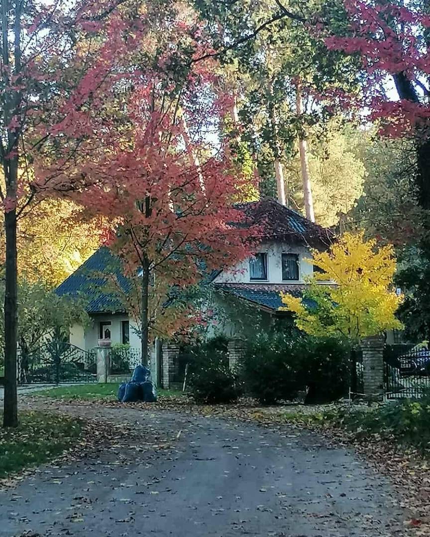 Die Farben des Herbstes