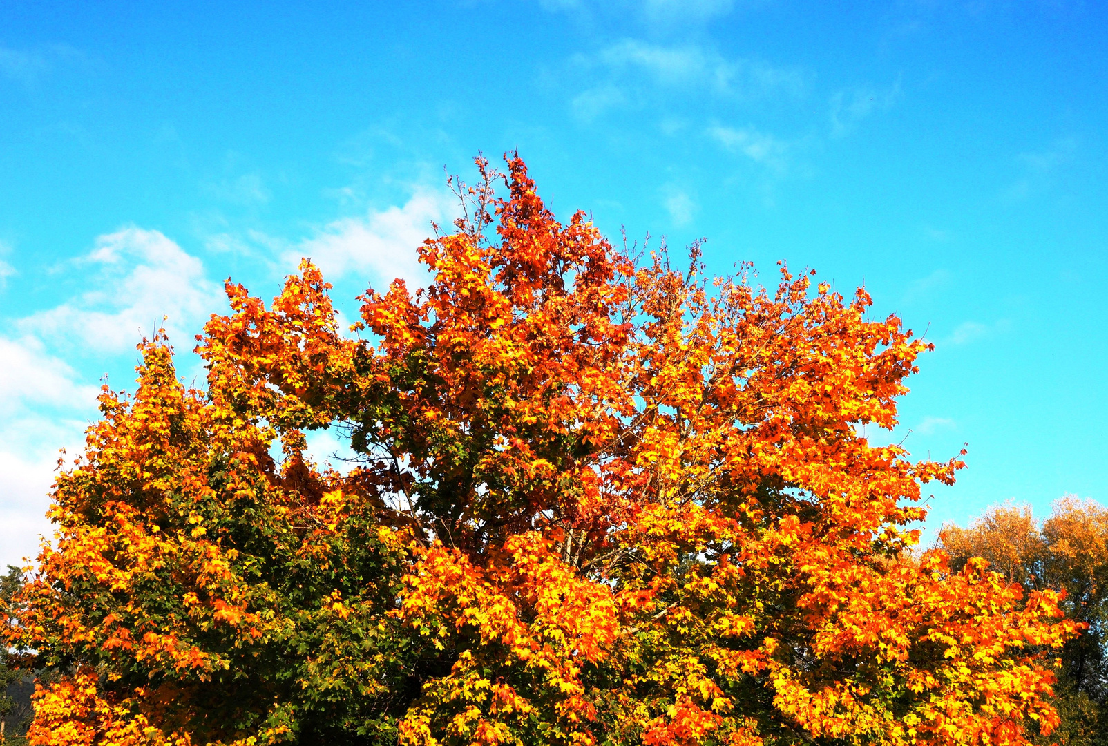 Die Farben des Herbstes