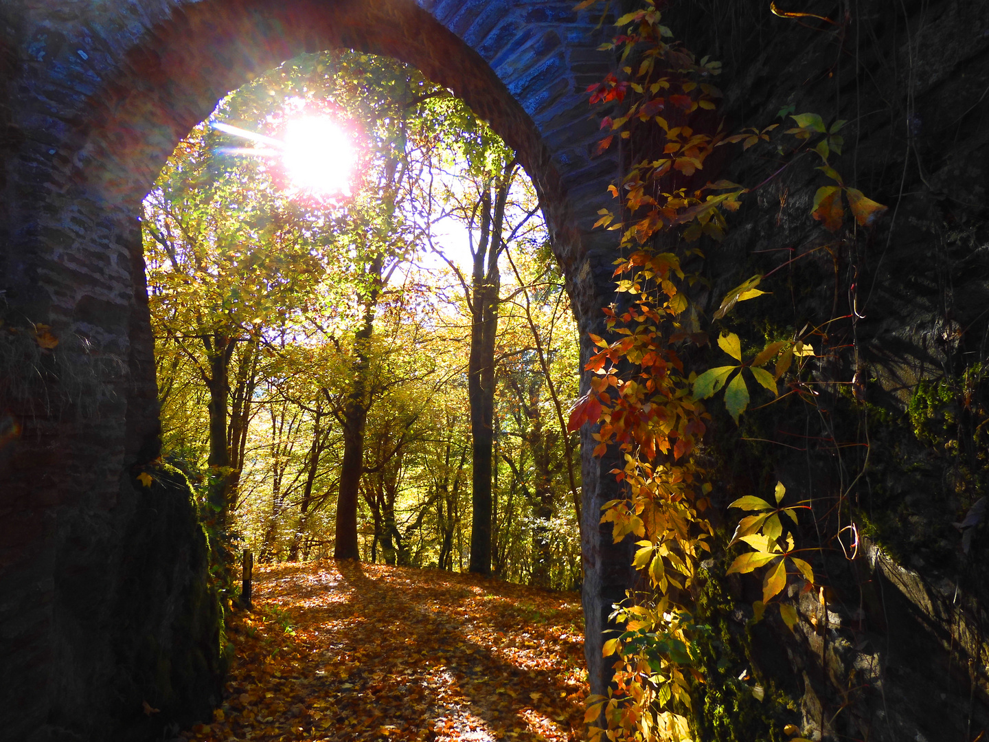 Die Farben des Herbstes