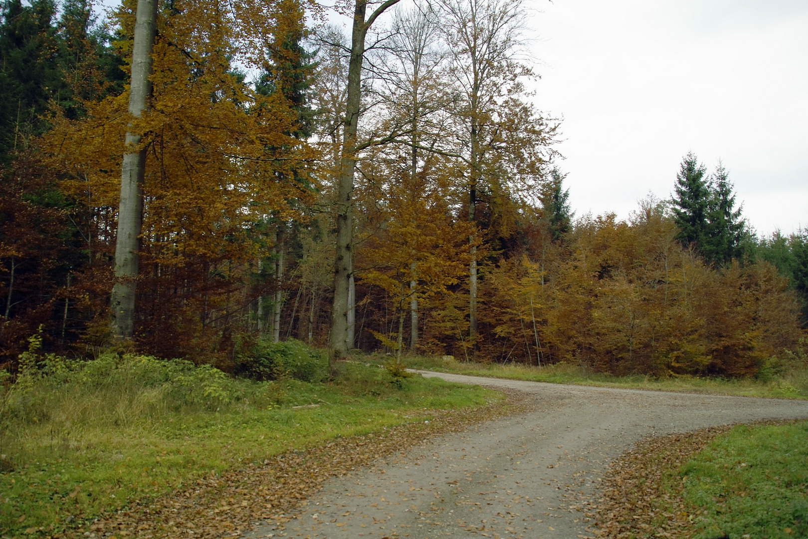 Die Farben des Herbstes