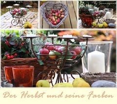 Die Farben des Herbstes