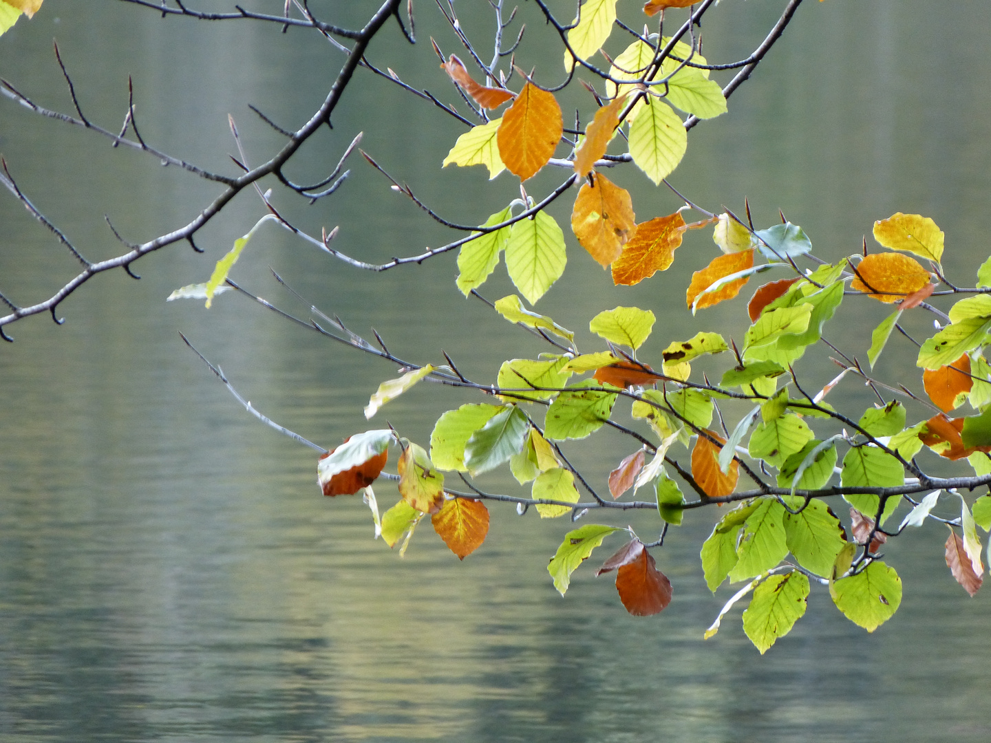 Die Farben des Herbstes