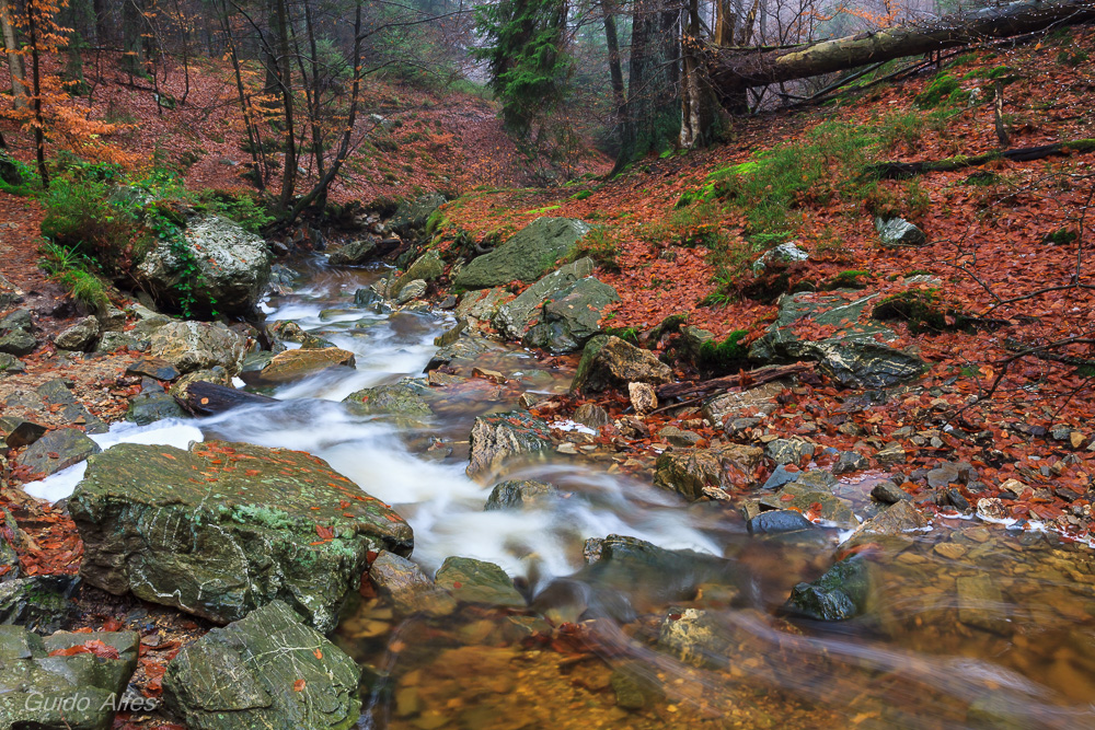 Die Farben des Herbstes