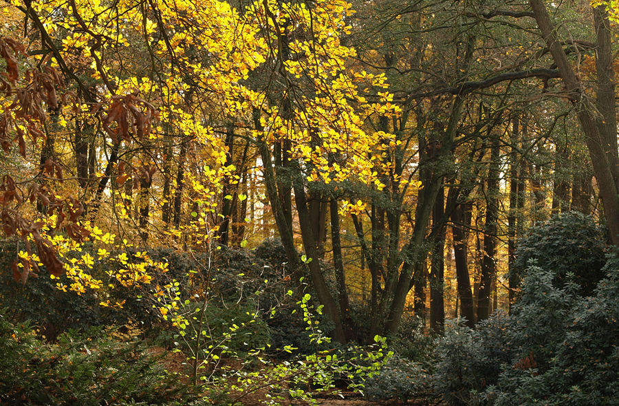 Die Farben des Herbstes