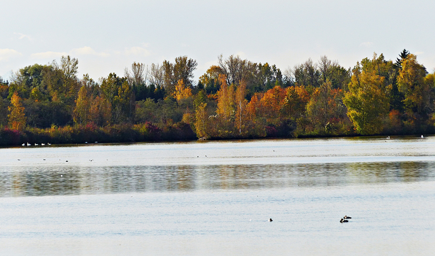 Die Farben des Herbstes