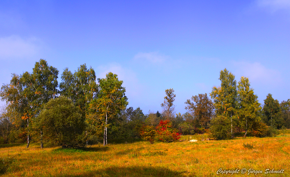 Die Farben des Herbstes