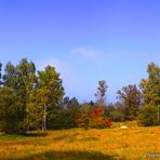 Die Farben des Herbstes