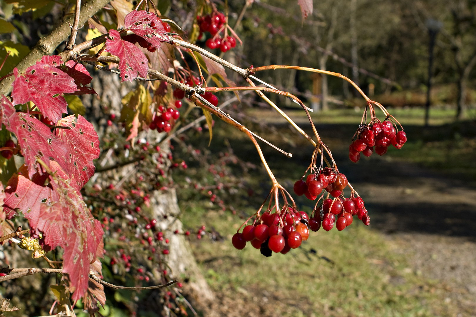 Die Farben des Herbstes