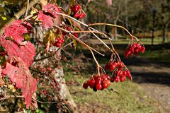 Die Farben des Herbstes