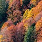 Die Farben des Herbstes