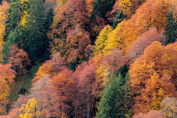 Die Farben des Herbstes