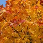 Die Farben des Herbstes bei traumhaftem Wetter