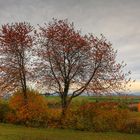 Die Farben des Herbstes