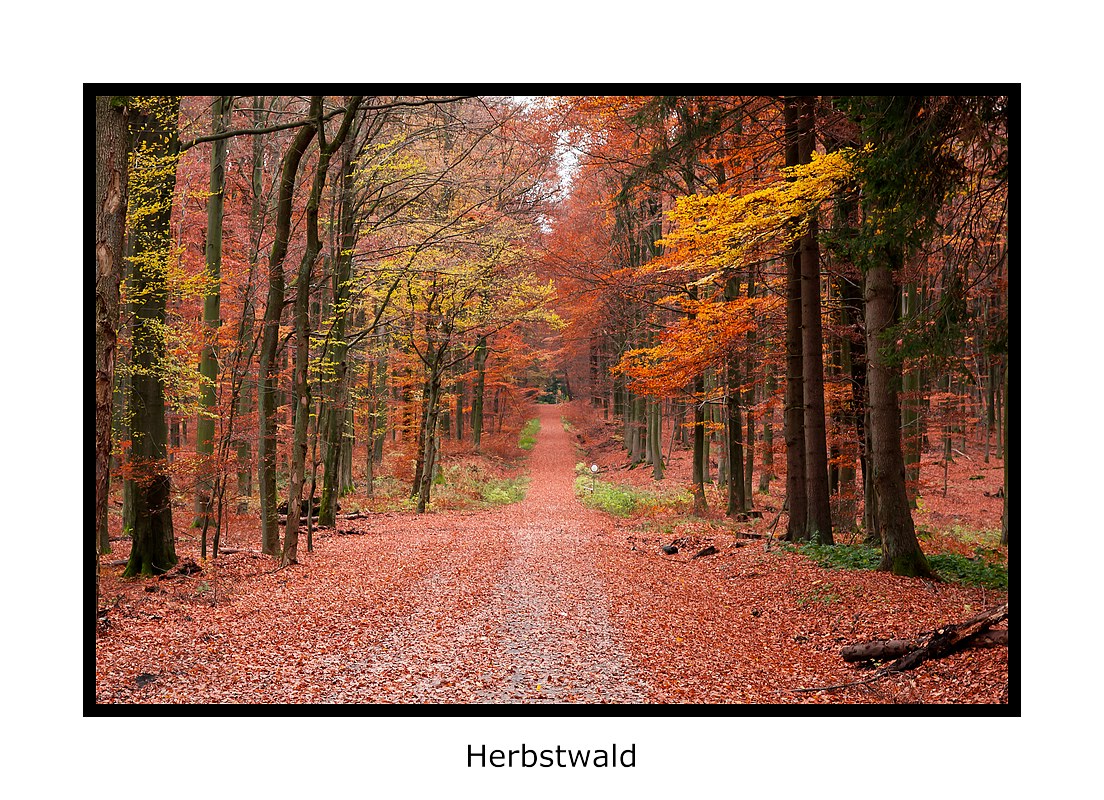 Die Farben des Herbstes