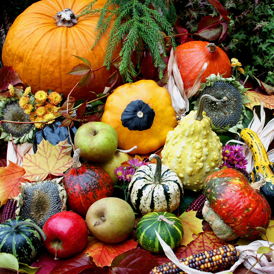 Die Farben des Herbstes von Barbara-Patricia Meister