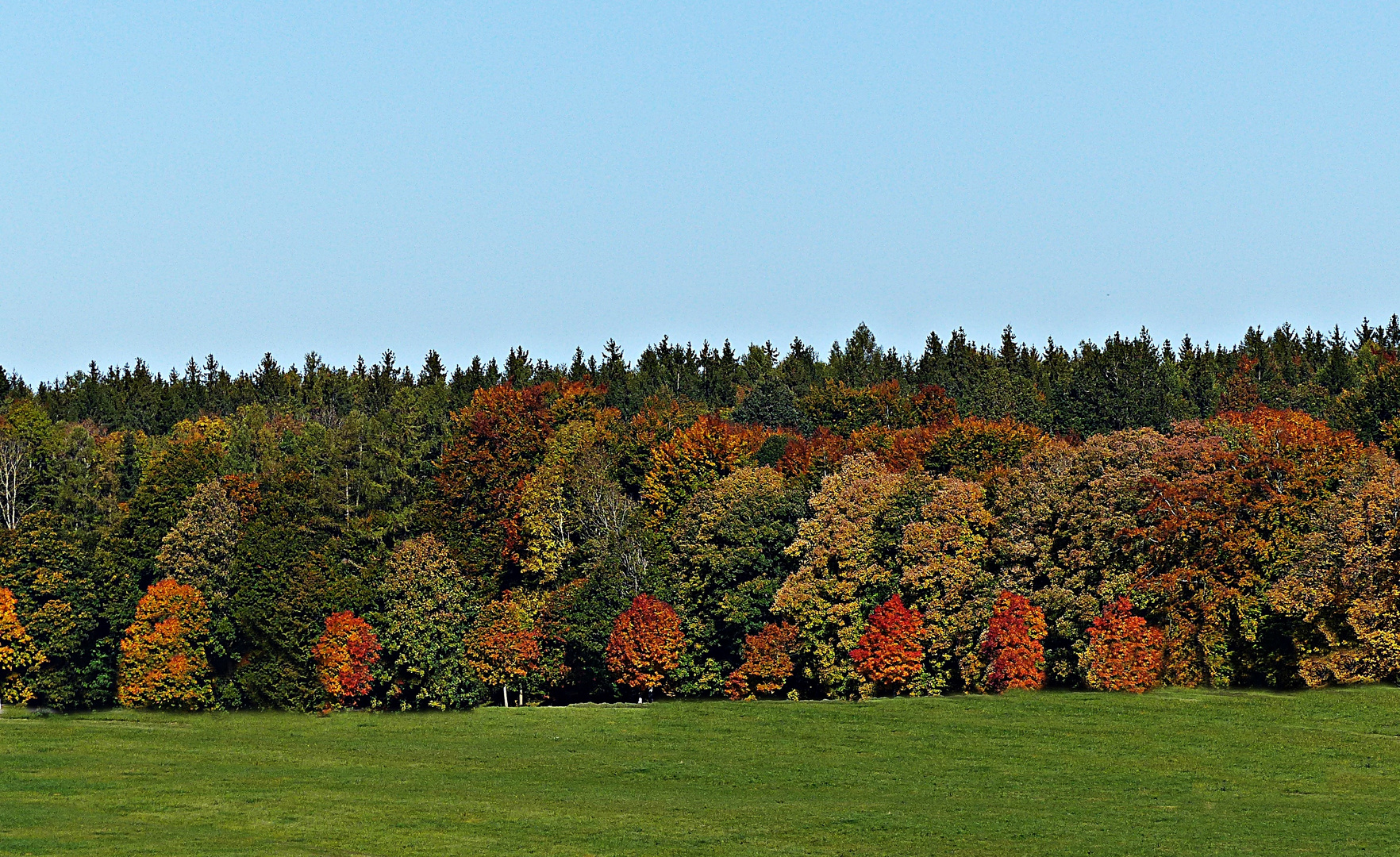 Die Farben des Herbstes