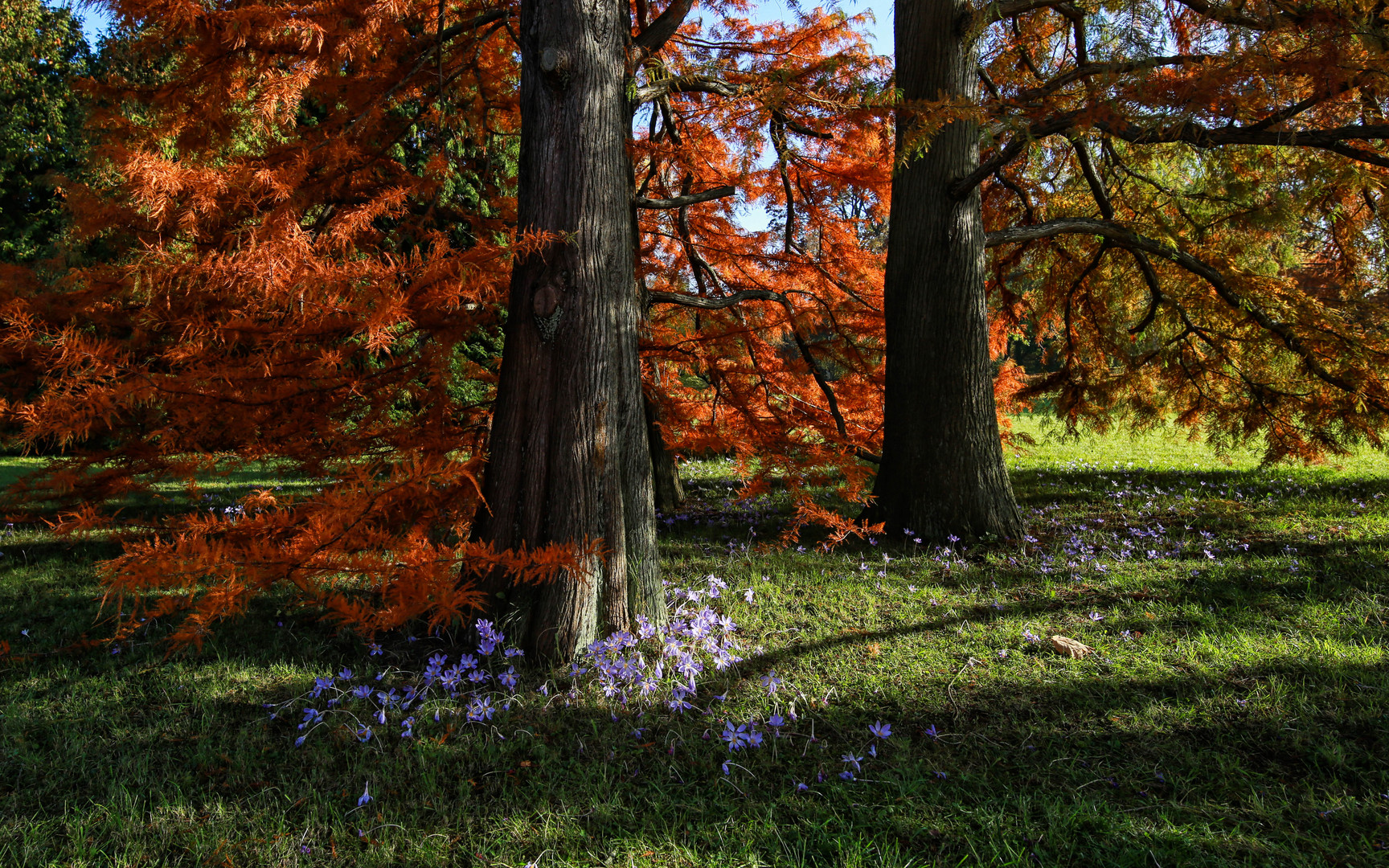 Die Farben des Herbstes