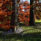 Die Farben des Herbstes