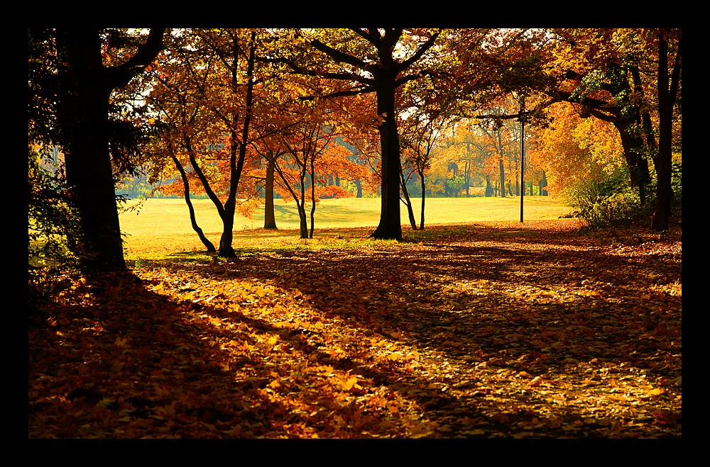 Die Farben des Herbstes