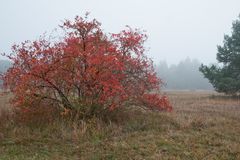 Die Farben des Herbstes