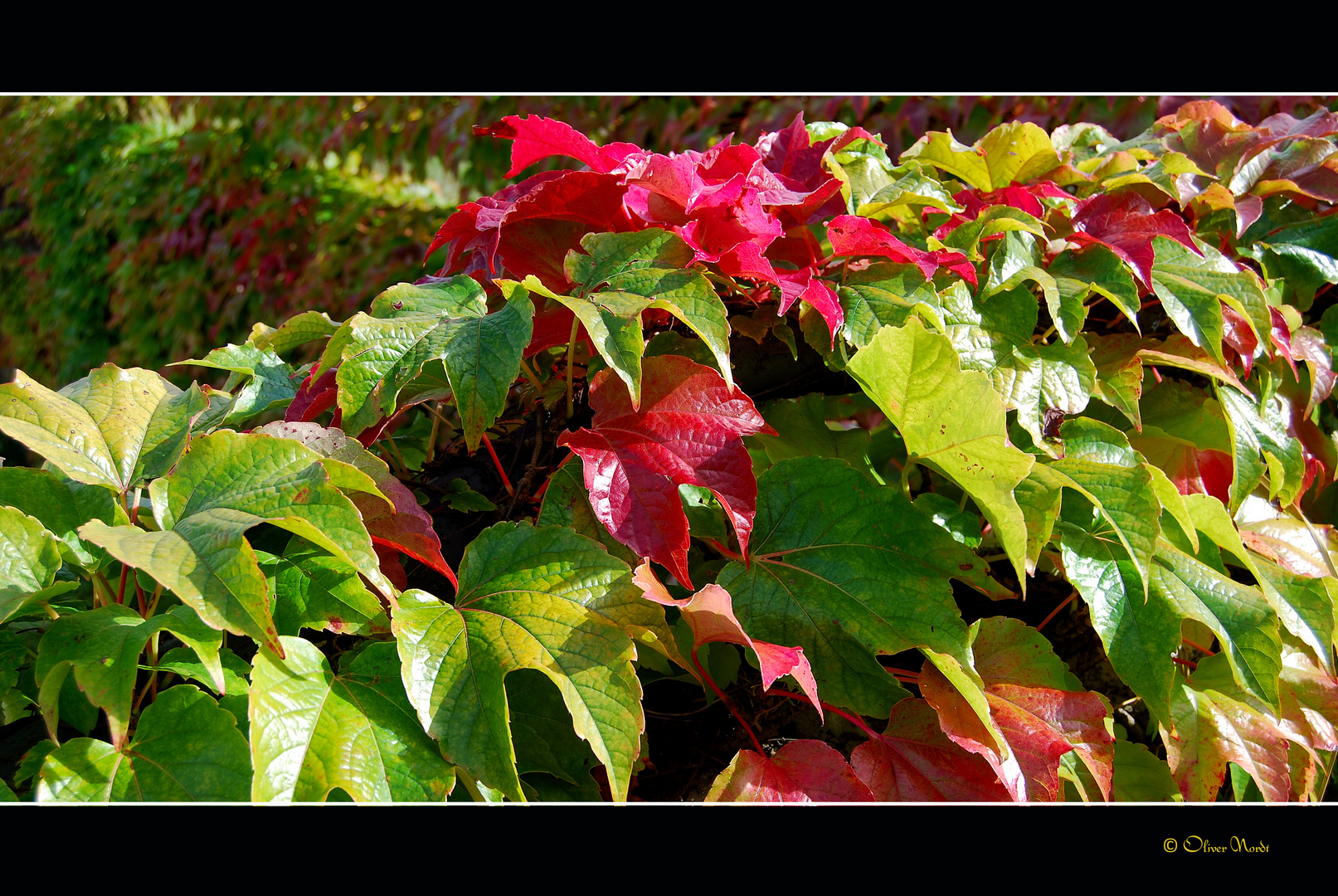 Die Farben des Herbstes