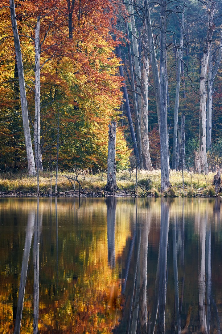 Die Farben des Herbstes