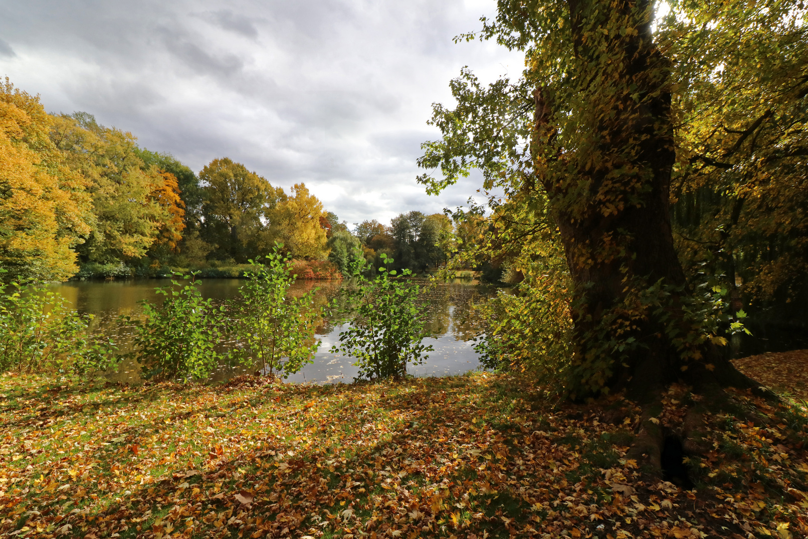 Die Farben Des Herbstes Die Farben Des Herbstes