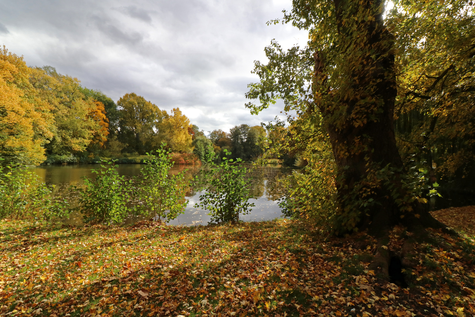 Die Farben des Herbstes