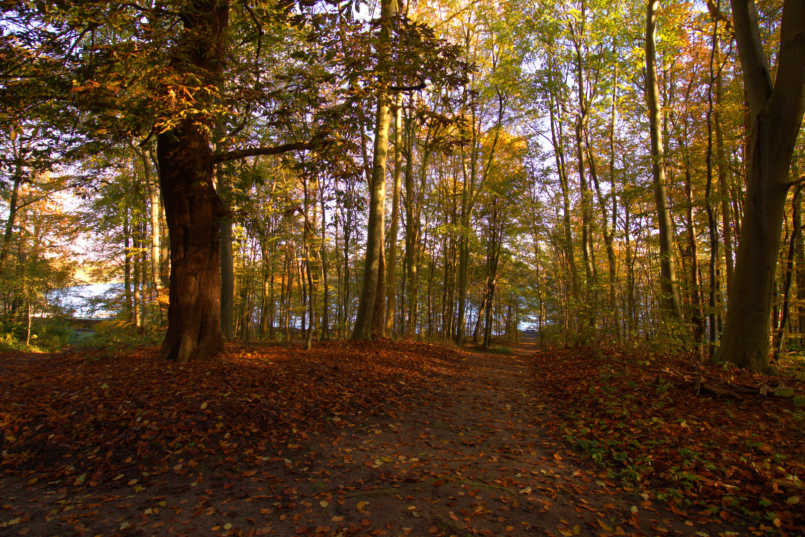 Die farben des Herbstes.