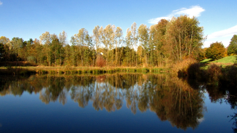 Die Farben des Herbstes II