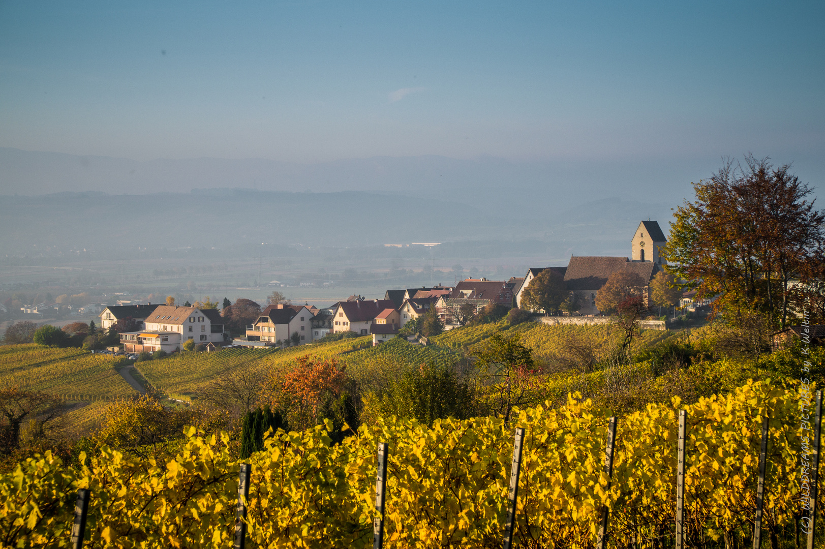 Die Farben des Herbstes II