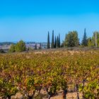 Die Farben des Herbstes im Licht des Sommers 