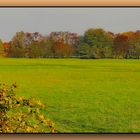 Die Farben des Herbstes / Les couleurs de l'automne