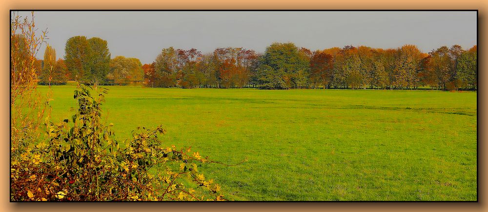 Die Farben des Herbstes / Les couleurs de l'automne