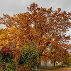 Die Farben des Herbstes " Retusch"