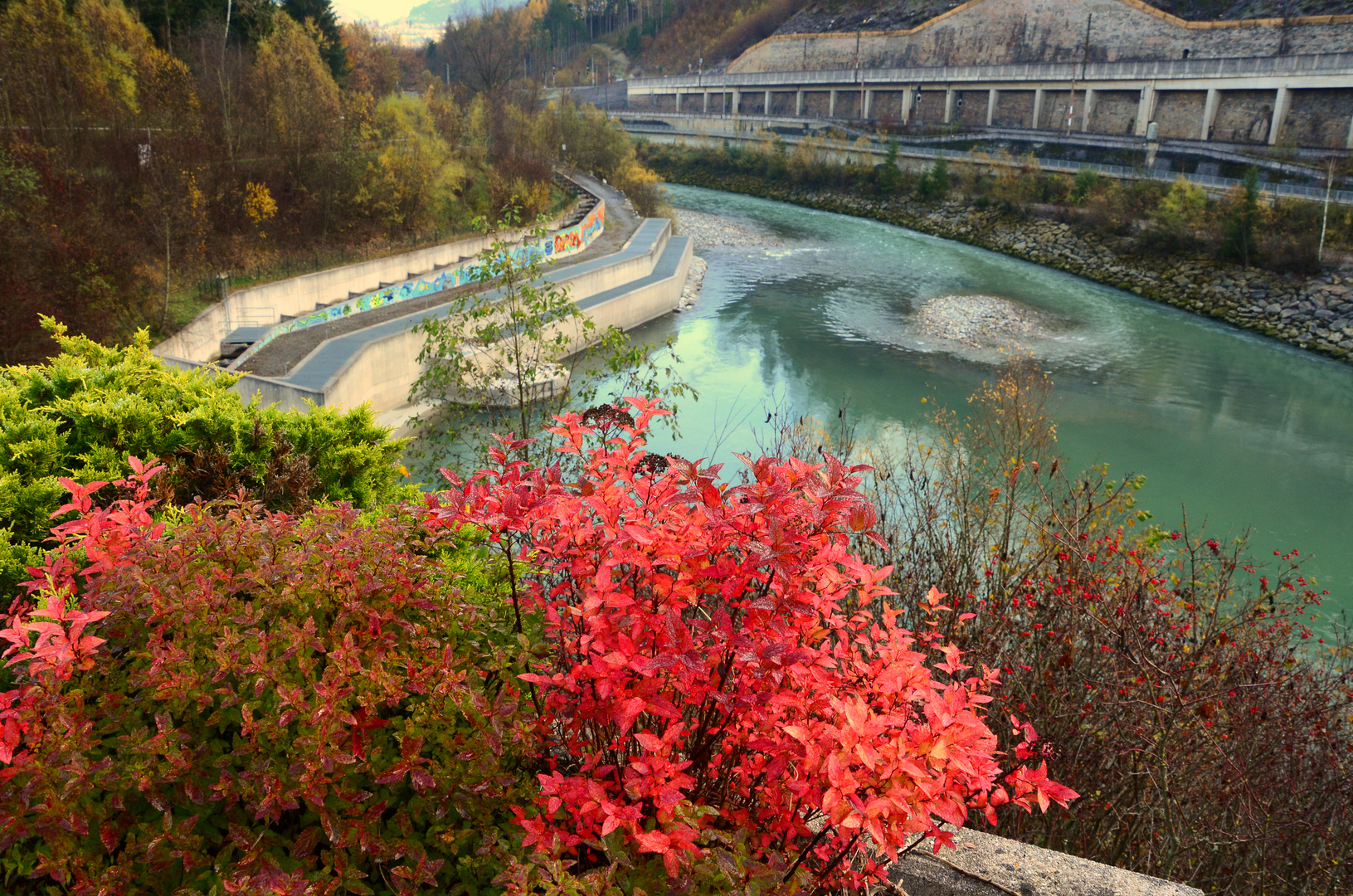 Die Farben des Herbstes - Spaziergang in der Wallner-Au Schwarzach